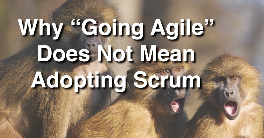 Blog: Why Going Agile Does Not Mean Adopting Scrum