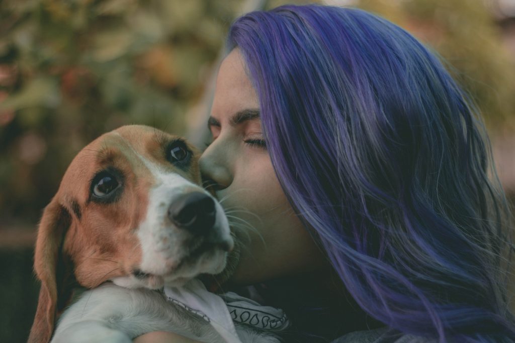 Girl Kissing Beagle Dog